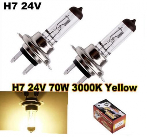 H7 24V 70W 3000K gelbe Glühbirnen